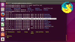 Linux commands for beginners - Basic Linux command line usage