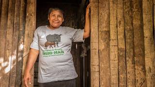 Concienciación en materia de la protección forestal en territorios indígenas de Nicaragua