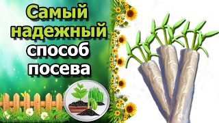 ?СПОСОБ ПОСЕВА СЕМЯН, КОТОРЫЙ НИКОГДА НЕ ПОДВЕДЕТ. Рассада без земли, в самокрутках.