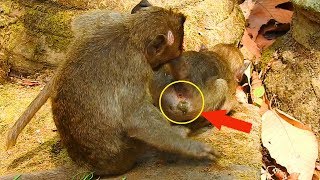 Poor little Timo was diarrhea he so weak need mom to help, nice girl Jessie came to take his care