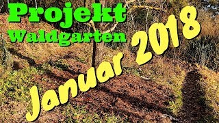 Waldgarten Januar 2018 - Gartenrundgang