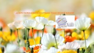 LifePharm Global Network Маркетинг план