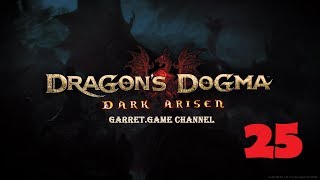 Dragon's Dogma - Dark Arisen.25 серия. Молебный водопад.