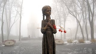 Про причини Голодомору 1932-33 років в Україні. Соціальний фактор (26.11.16)
