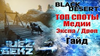 Black Desert Гайд: ТОП СПОТЫ Медии - Экспа / Дроп