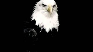 HAPPY NEW YEAR @ (LIVE MIXED BY NELVER) @ [ON-LINE RADIO SHOW "PROUD EAGLE" (RU)] @ (23.12.2012)