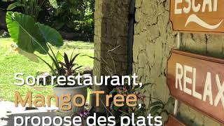 Travel to Saint Lucia - Réveil face au Petit Piton au Stonefield Villa Resort