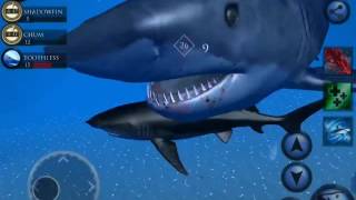 Ultimate Shark Simulator Megalodon Boss Battle