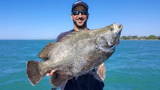 INSANE TRIPLE TAIL FISHING PLUS A BONUS COBIA & SNOOK!!!