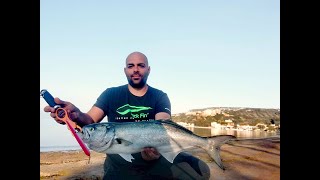 Spinning For Bluefish With "Jack Fin Stylo 210"