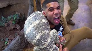 Challenge to Find Out Who LOVES Giant Reptiles More?