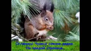 Н  Сладков  Лесные сказки