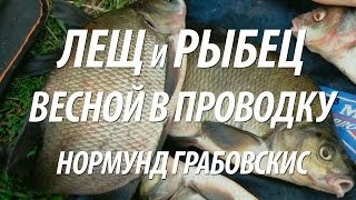 ЛОВЛЯ В ПРОВОДКУ ЛЕЩА И РЫБЦА. ВЕСЕННЯЯ РЫБАЛКА В АПРЕЛЕ С НОРМУНДОМ ГРАБОВСКИСОМ НА ПОПЛАВОК
