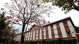 Visão Geral | Hotel Majestic - Águas de Lindóia
