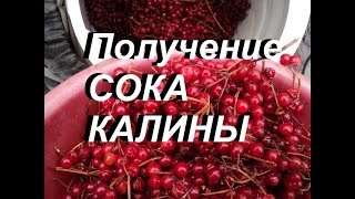 Получение сока Калины, холодный отжим .  Пресс для давки сока своими руками