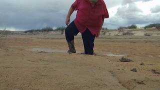 112a-Quicksand Sinking Before The Storm, Part 1