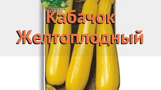 Кабачок обыкновенный Желтоплодный (zheltoplodnyy) ? обзор: как сажать, семена кабачка Желтоплодный
