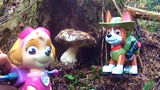 Щенячий Патруль - Скай и Крепыш готовят Белый Гриб и Кашу Paw Patrol