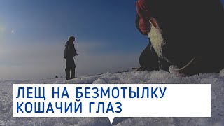 Лещ на безмотылку кошачий глаз  Не лезет в лунку