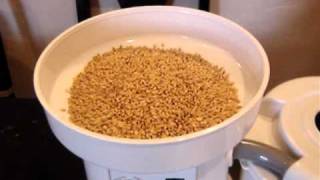 WonderMill Wheat Demo 001