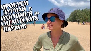 ПХУКЕТ 2020 Отдых на Пхукете Отдых в Тайланде Пляжи Пхукета Тайланд 2020 Жизнь на Пхукете