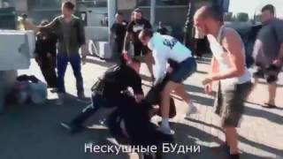 Лев против - лучшие драки! Новое видео!
