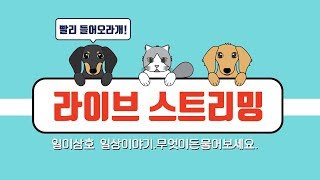 ㅣ190302 LIVEㅣ먼치킨 고양이 사호의 첫 스트리밍 출연!