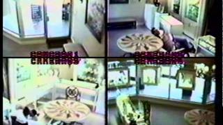 Jewellery store armed robbery