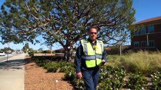 1st amendment audit Phillips 66 oil refinery , Wilmington CA  security guard fail no police