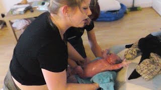 HOME BIRTH experience UK NHS very fast natural birth