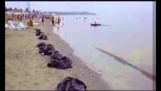 Черное море, выброс сероводорода в Коблево, 2010 год