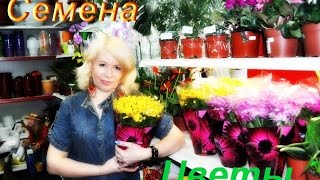 Часть 1. Откуда столько семян!!! Советы дачникам от Татьяны.