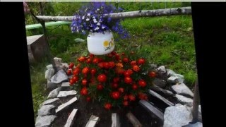 Поделки для украшения сада и огорода  своими руками фото