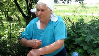 Украинское село - Ukrainian village