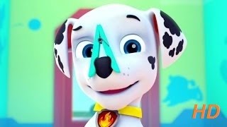 ПРИЩЕПКА НА НОСУ!-мультик щенячий патруль