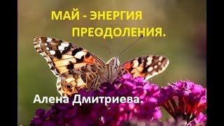 Май - энергия преодоления. Алена Дмитриева.