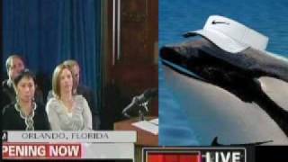 APOLOGY - Full Press Conference from Tilikum the Killer Whale