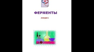 Лекция 5 Коферменты и кофакторы  Введение в обмен веществ