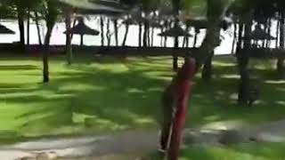 Вьетнам ?? Муйне Sunny Beach Resort у бассейна:))