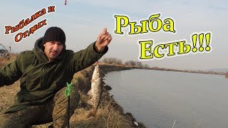 Рыбалка на Речке Суйфун в Приморье! Ловля Красноперки на Спиннинг! Рыбалка в Приморье Краснопёрка.