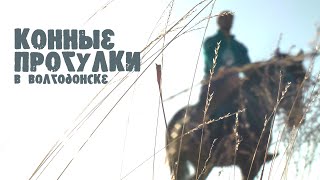 Конные прогулки в Волгодонске