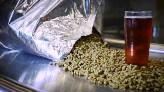 Dry Hopping with the Fristam Hops Dosing System