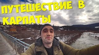 КАРПАТЫ ЗАПОВЕДНИК ОЛЕНИ ДИКИЕ КАБАНЫ ФАЗАНЫ