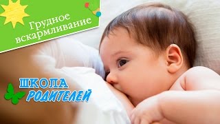 «Школа родителей» (Грудное вскармливание)