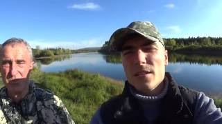 Выставка Лаек (ВСЛ) В Жигалово 2016