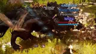 Black Desert Online - Farming Mutant Tree Spirits [Tamer]