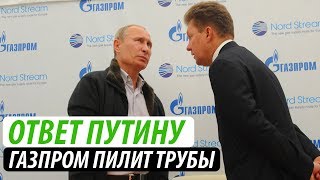 Ответ Путину.  Газпром пилит трубы
