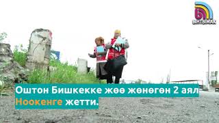 Бишкекке жөө жөнөгөн аялдар Ноокенге жетти #Ынтымак