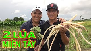NGÓ SEN NẤU CANH CHUA CÁ MÈ - TT350