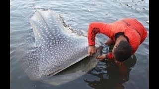 ПРИКОЛЫ ИЗ ЖИЗНИ 2019/ РЫБАЛКА / ОХОТА / НЕУДАЧИ  СМЕШНЫЕ ВИДЕО СУРОВАЯ РУССКИЕ ПРИКОЛЫ